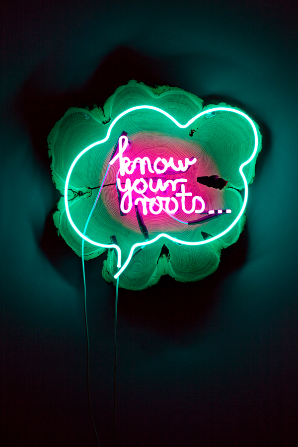 Know your Roots, 2012