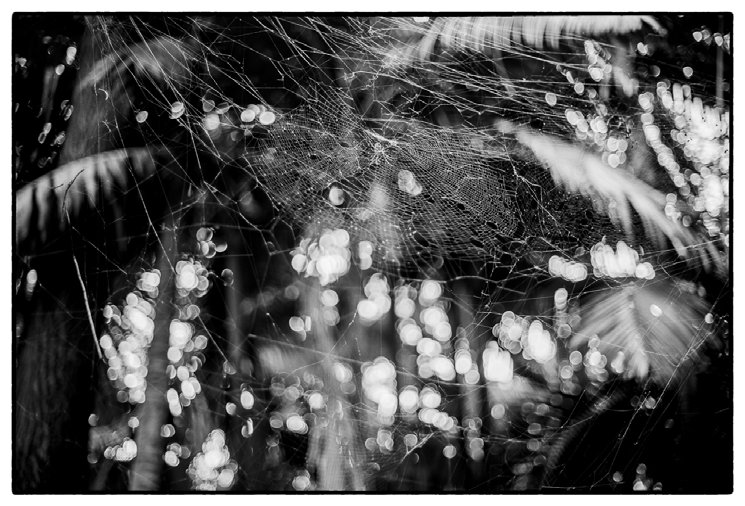 Confrontation — Sao Paulo, 02.04.2013