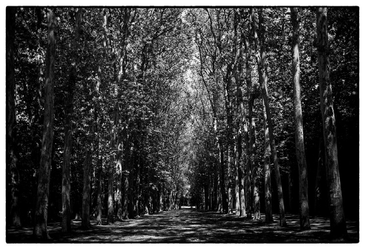 Confrontation — Versailles, 27.07.2013