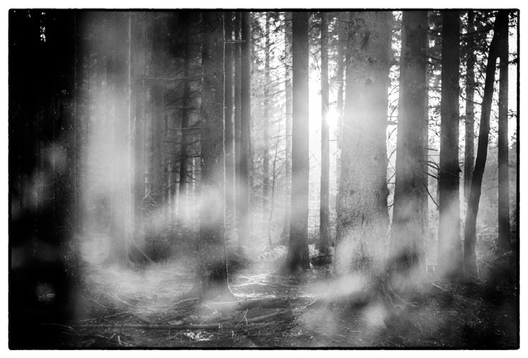 Confrontation — Black Forest, 15.03.2012