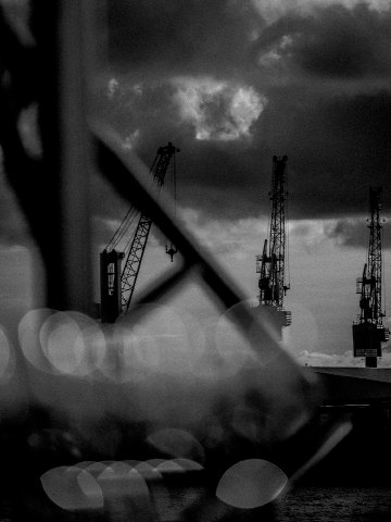 Haven #001
