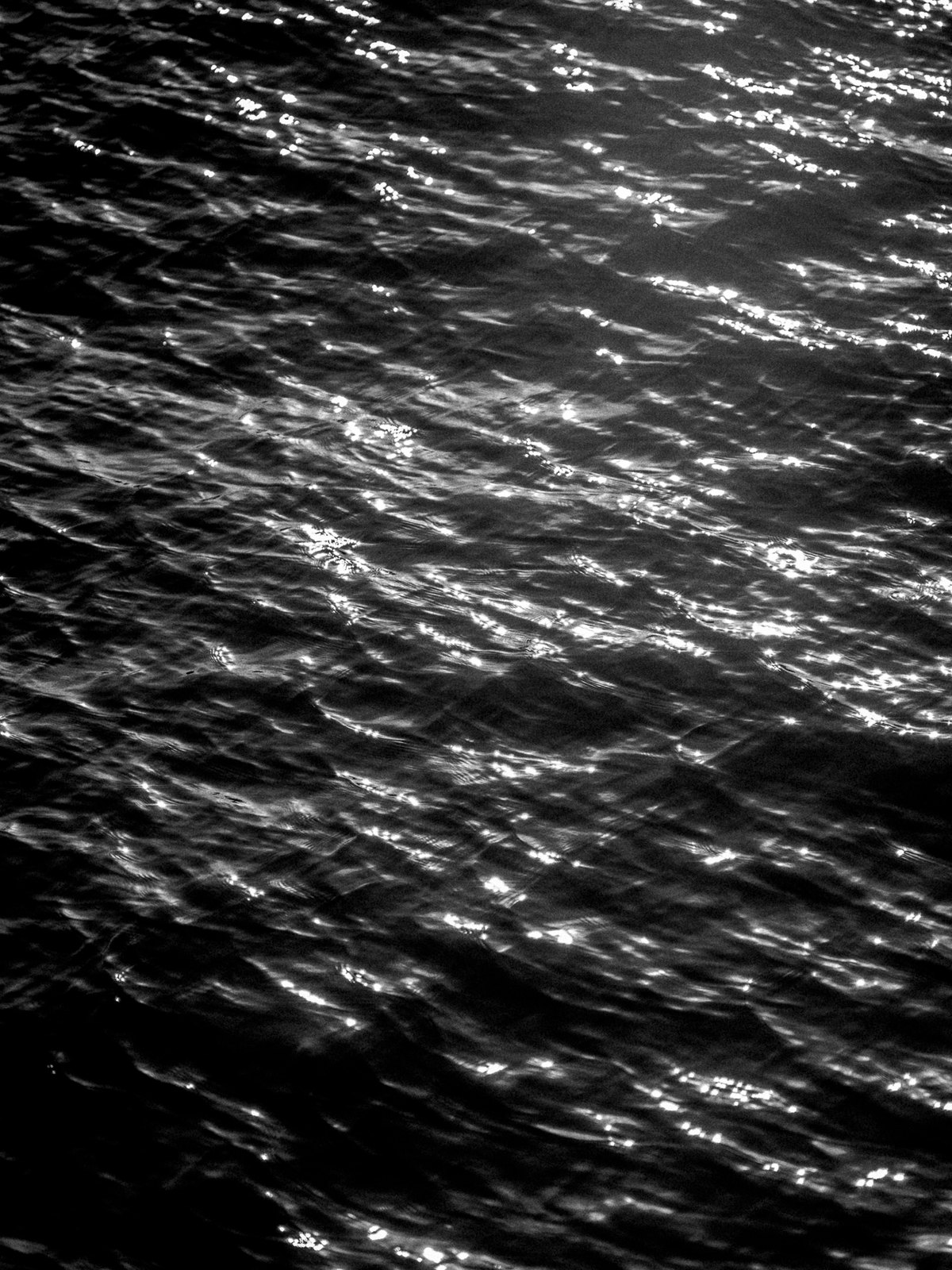 Haven #003