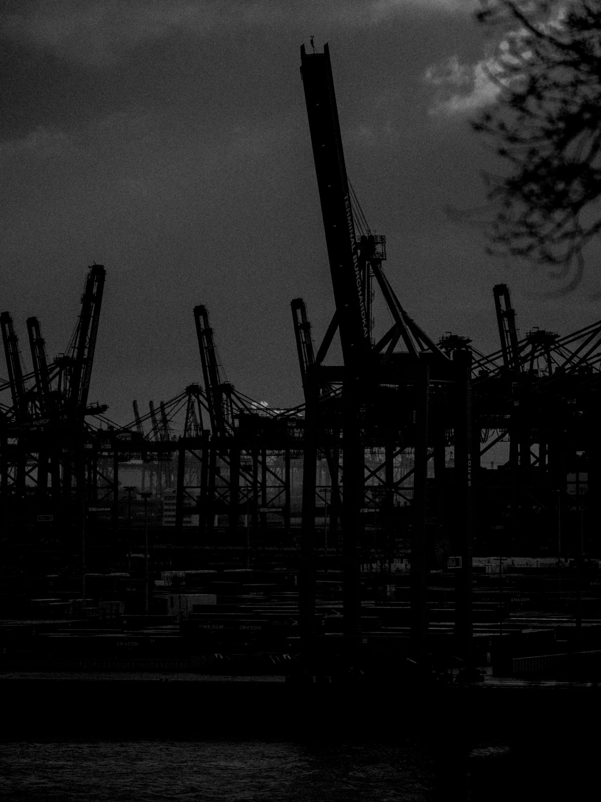 Haven #004