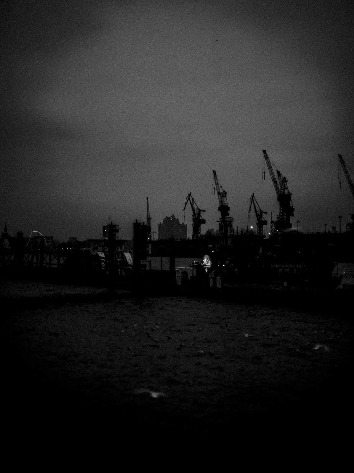 Haven #007