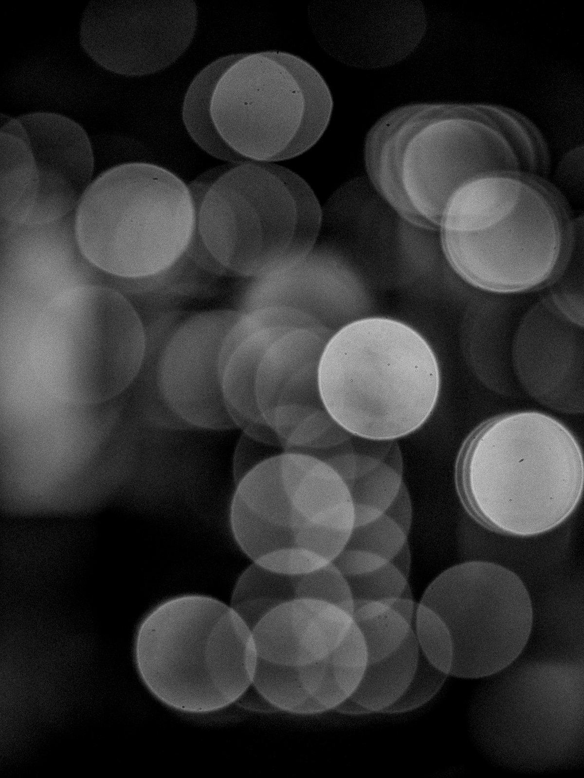 Haven #009