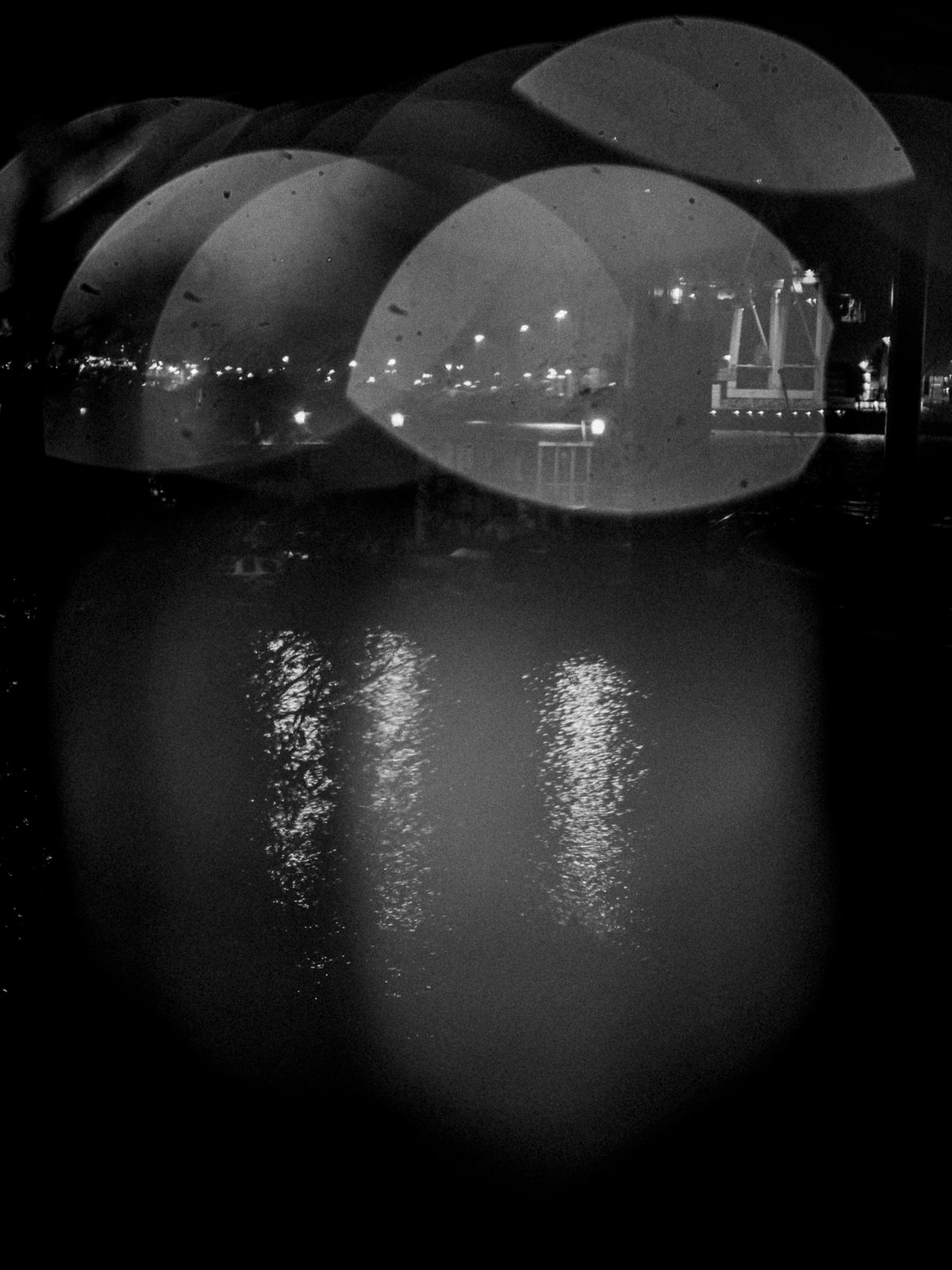 Haven #012