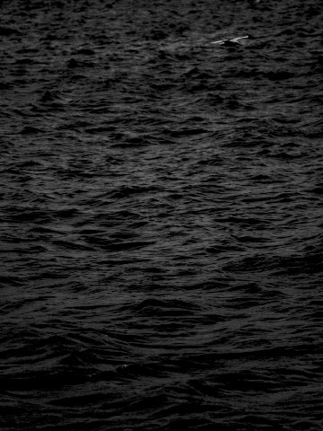 Haven #013